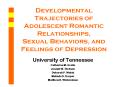 Developmental Trajectories of Adolescent Romantic Relationships, Sexual Behaviors, and Feelings of Depression PowerPoint PPT Presentation