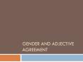 Gender and adjective agreement PowerPoint PPT Presentation