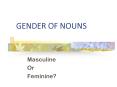 GENDER OF NOUNS PowerPoint PPT Presentation