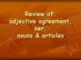 Review%20of:%20adjective%20agreement,%20ser,%20nouns%20 PowerPoint PPT Presentation
