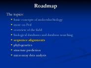 Roadmap