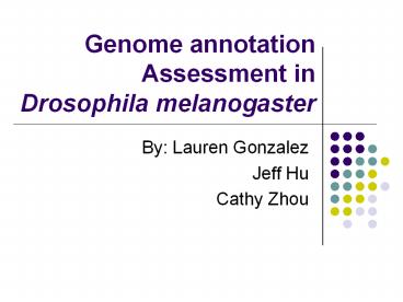 Genome annotation Assessment in Drosophila melanogaster