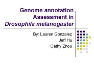 Genome annotation Assessment in Drosophila melanogaster