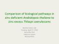 Comparison of biological pathways in zinc deficient Arabidopsis thaliana to zinc excess Thlaspi caerulescens PowerPoint PPT Presentation