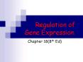 Regulation of Gene Expression PowerPoint PPT Presentation