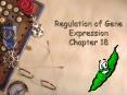 Regulation of Gene Expression Chapter 18 PowerPoint PPT Presentation