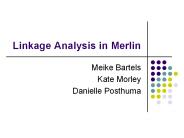 Linkage Analysis in Merlin