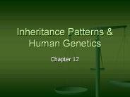 Inheritance%20Patterns%20