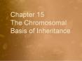 Chapter 15     The Chromosomal Basis of Inheritance PowerPoint PPT Presentation