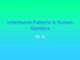 Inheritance%20Patterns%20 PowerPoint PPT Presentation