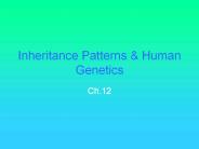 Inheritance%20Patterns%20