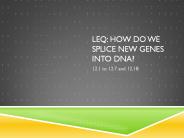 LEQ: How do we splice new genes into DNA?