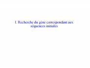 I. Recherche du g