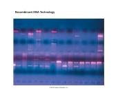 Recombinant DNA Technology