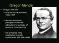 Gregor Mendel PowerPoint PPT Presentation