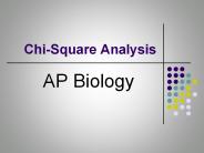 Chi-Square Analysis