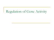 Regulation of Gene Activity