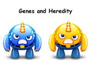 Genes%20and%20Heredity