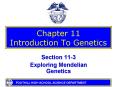 Chapter 11 Introduction To Genetics PowerPoint PPT Presentation