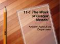 11-1 The Work of Gregor Mendel PowerPoint PPT Presentation