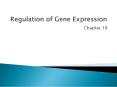 Regulation of Gene Expression PowerPoint PPT Presentation