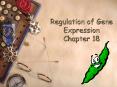 Regulation of Gene Expression Chapter 18 PowerPoint PPT Presentation