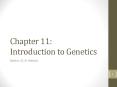 Chapter 11: Introduction to Genetics PowerPoint PPT Presentation