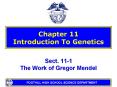 Chapter 11 Introduction To Genetics PowerPoint PPT Presentation