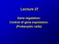 Gene regulation: PowerPoint PPT Presentation