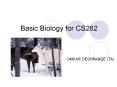 Basic Biology for CS262 PowerPoint PPT Presentation