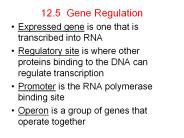 12.5%20Gene%20Regulation