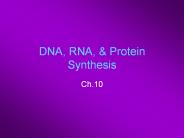 DNA, RNA,