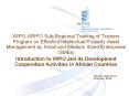 WIPO-ARIPO Sub-Regional Training of Trainers Program on Effective Intellectual Property Asset Management by Small and Medium Sized Enterprises (SMEs) PowerPoint PPT Presentation