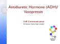 Antidiuretic Hormone (ADH)/ Vasopressin PowerPoint PPT Presentation