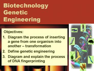 Biotechnology Genetic Engineering