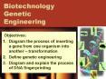 Biotechnology Genetic Engineering PowerPoint PPT Presentation