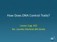 How Does DNA Control Traits? PowerPoint PPT Presentation