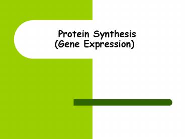 Protein Synthesis    (Gene Expression)