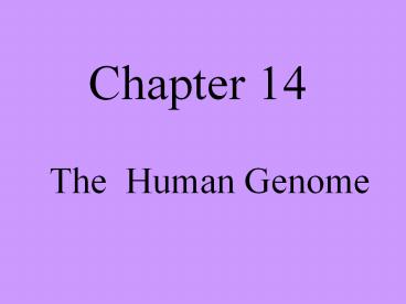 The Human Genome