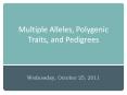 Multiple%20Alleles,%20Polygenic%20Traits,%20and%20Pedigrees PowerPoint PPT Presentation