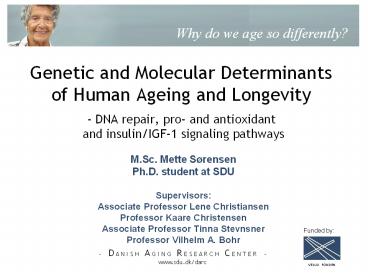 presentation player overlay