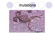 mutations
