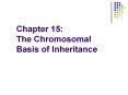 Chapter 15: The Chromosomal Basis of Inheritance PowerPoint PPT Presentation