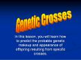 In this lesson, you will learn how to predict the probable genetic makeup and appearance of offspring resulting from specific crosses. PowerPoint PPT Presentation
