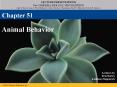 Animal Behavior PowerPoint PPT Presentation