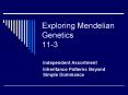 Exploring Mendelian Genetics 11-3 PowerPoint PPT Presentation