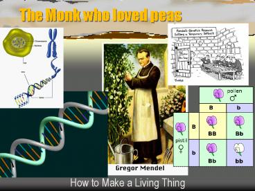 The Monk who loved peas