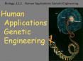 Biology: 11.2  Human Applications Genetic Engineering PowerPoint PPT Presentation