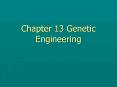 Chapter%2013%20Genetic%20Engineering PowerPoint PPT Presentation