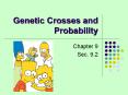 Genetic Crosses and Probability PowerPoint PPT Presentation